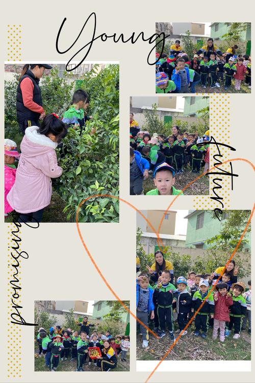 Bắc Kinh Số Nhanh (Beijing Fast 3)